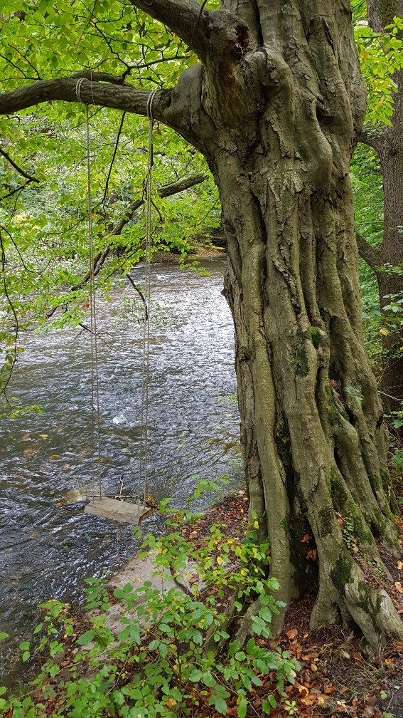 NAH AM WASSER GEBAUT