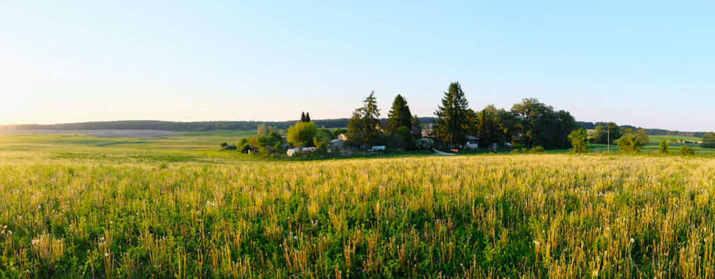 Liebe, Macht & Freiheit Sommer-Festival